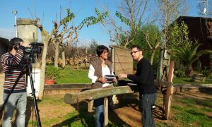 TV El Vendrell gana dos premios convocados por la Diputación de Tarragona