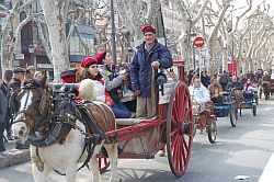 Los Tres Tumbos de Vendrell llegan este domingo con nuevas actividades