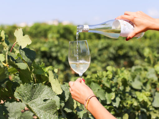 Bodega Avgvstvs Forvm 31