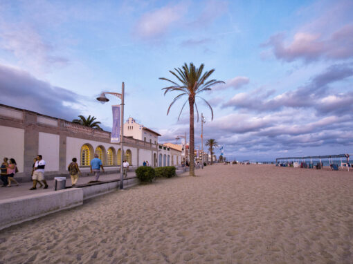 The Pau Casals Museum 257