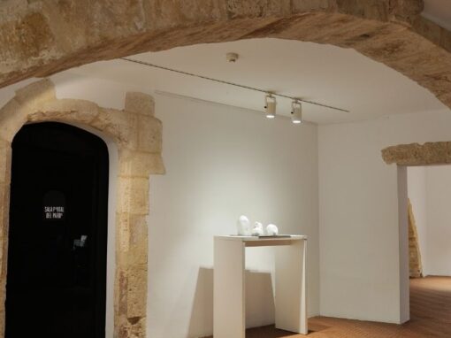 Sala Portal del Pardo. Espacio de difusión cultural 269