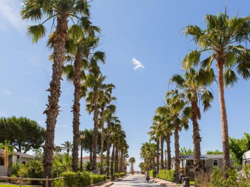 Cámping Estival Vendrell Platja 57