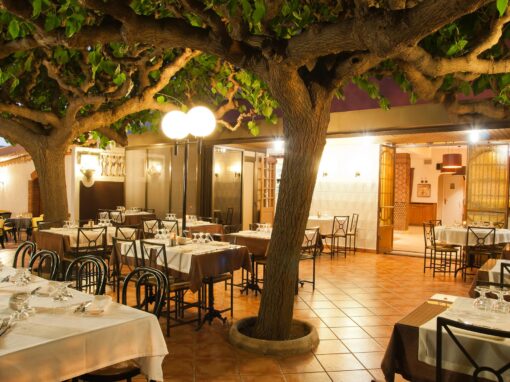 Pizzeria Trastevere 233